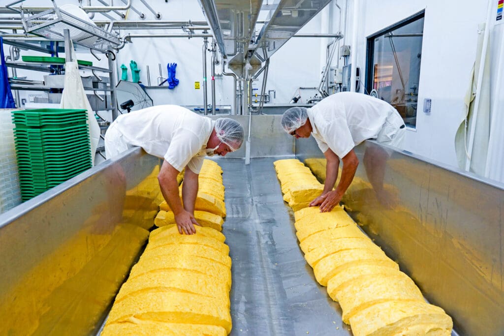 Flipping Cheddar Slabs in the Cheddaring Process