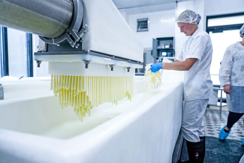 Separating Cheese Whips in Ron's Wisconsin Cheese plant