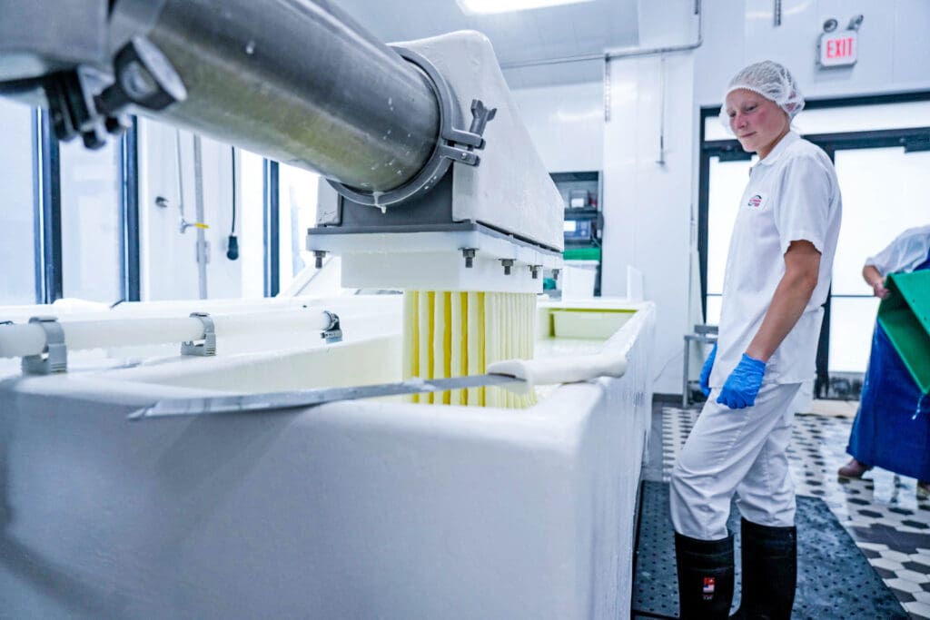 Cheese being extruded into string cheese