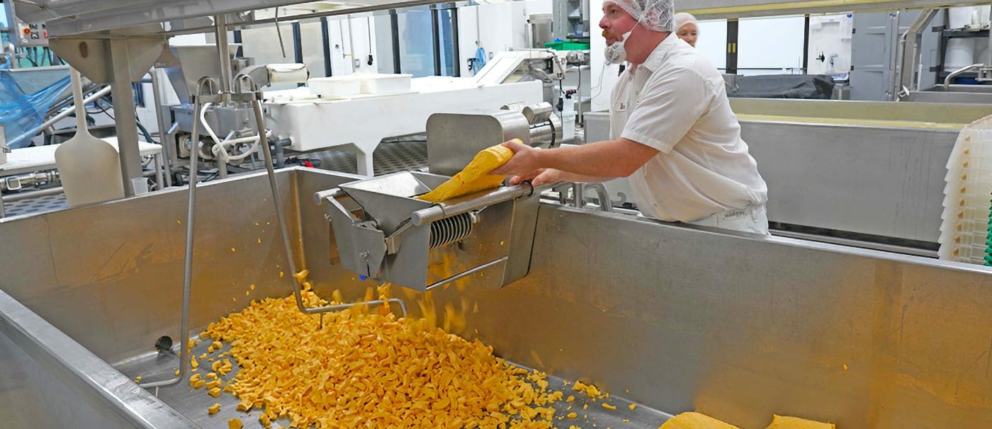 Cutting cheese curds