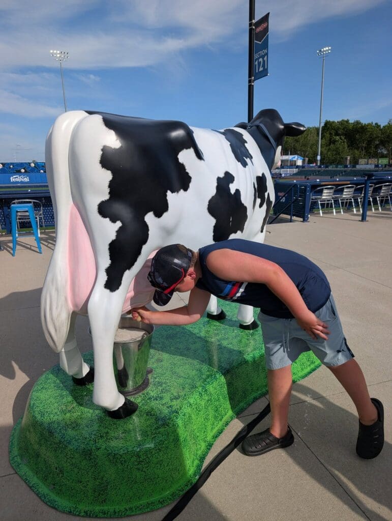 kids milking cows