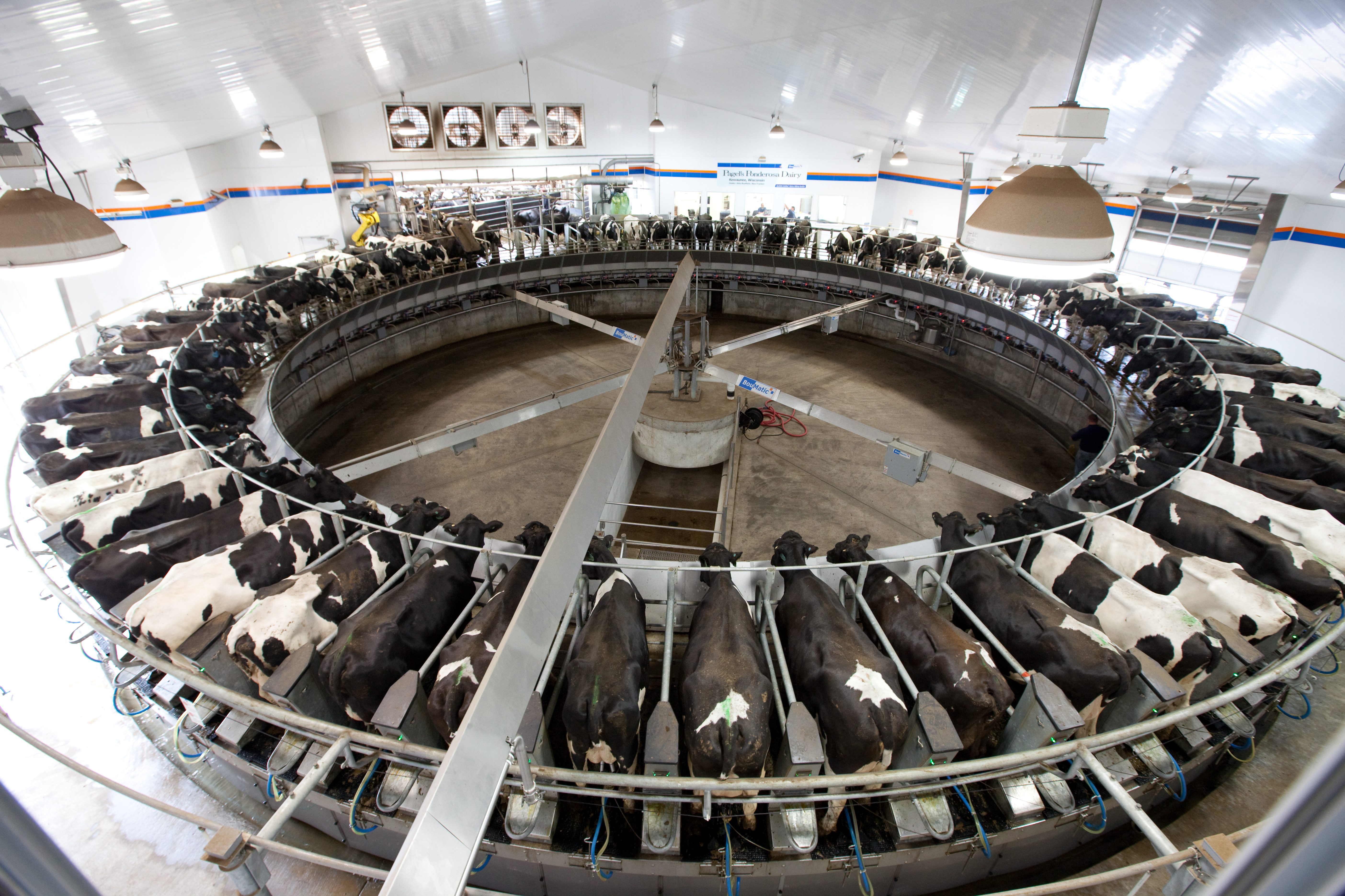 72 cow rotary parlor