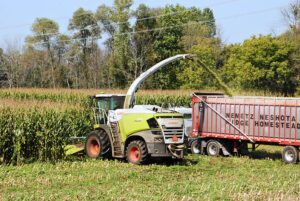 Chopping Corn Silage