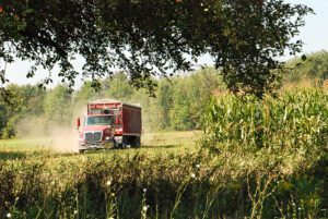 Hauling Corn Silage