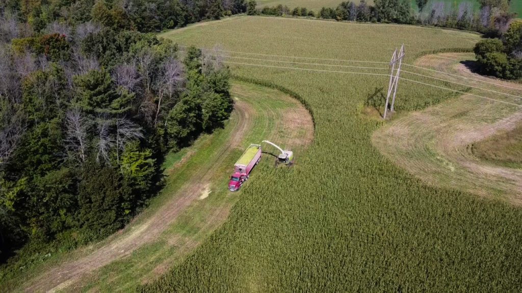 Chopping Corn Silage Ariel